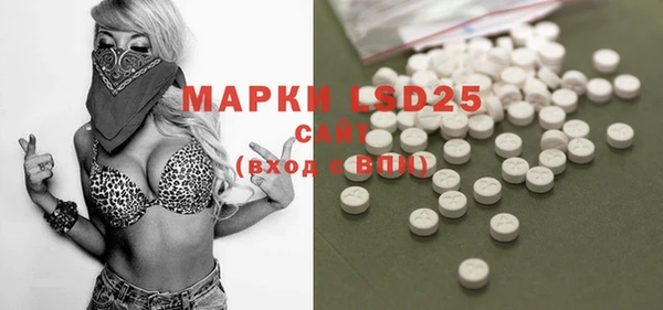 mdpv Бородино