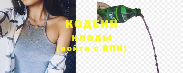 mdpv Бородино