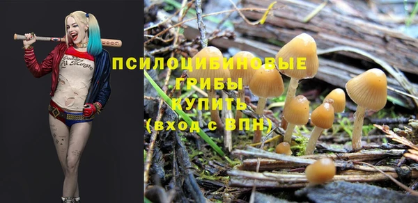 МДПВ Бугульма