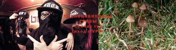 mdpv Бородино