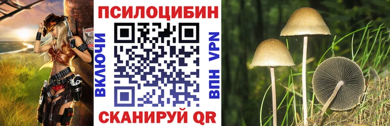Галлюциногенные грибы ЛСД Новоузенск