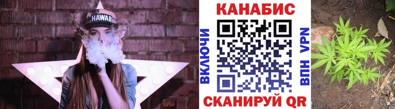 Бошки Шишки план  Новоузенск 